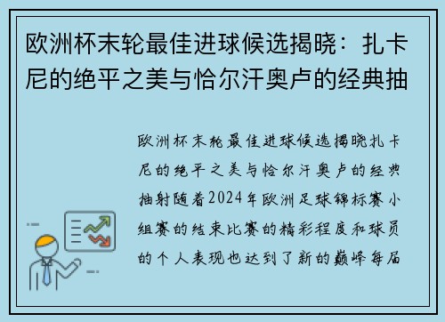 欧洲杯末轮最佳进球候选揭晓：扎卡尼的绝平之美与恰尔汗奥卢的经典抽射